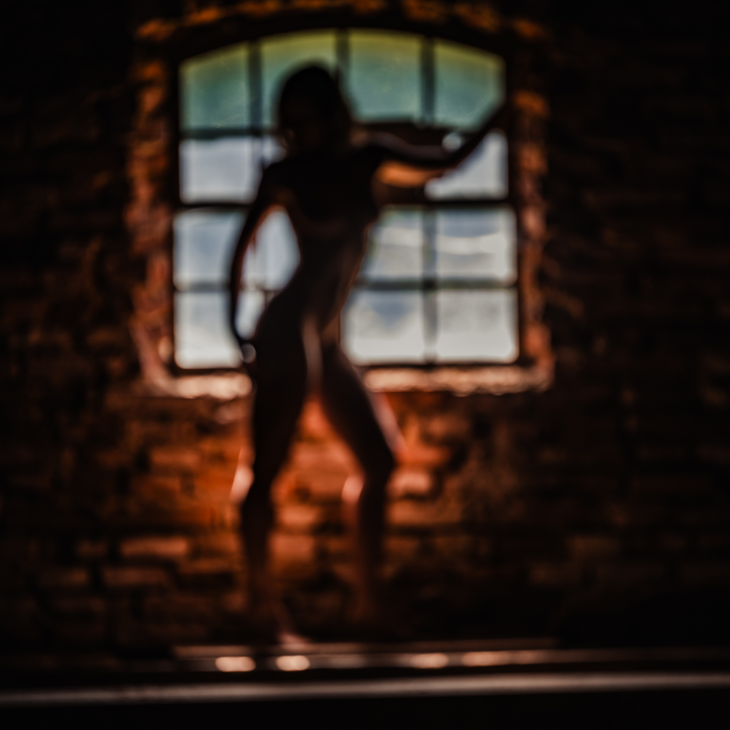 Akt im Schloss Blumenthal    2111